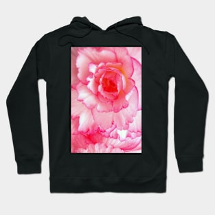 Pink and White Rose Hoodie